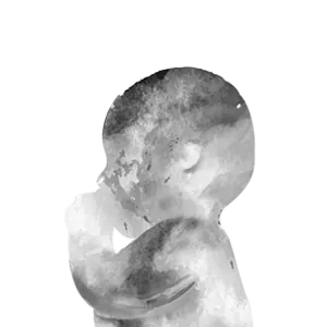 Acuarela 3